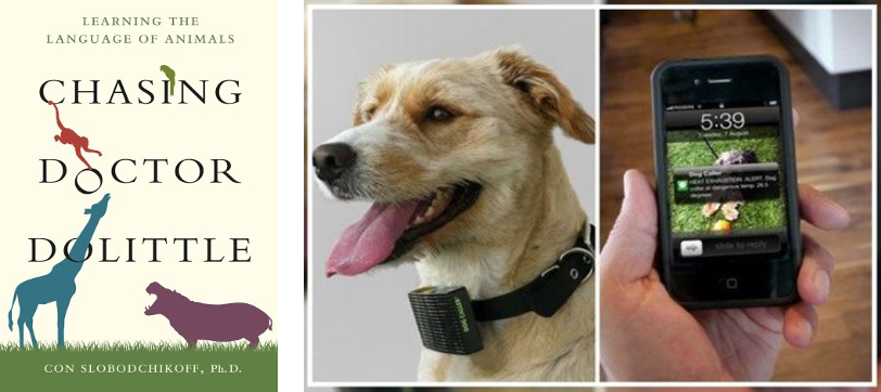 voice translator for dogs